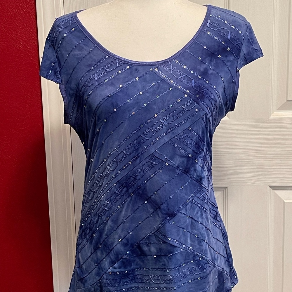 Dressbarn Blue Cap Sleeve Fitted Blouse
